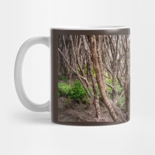 Manuka trees. Mug